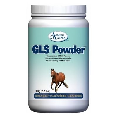GSL Power