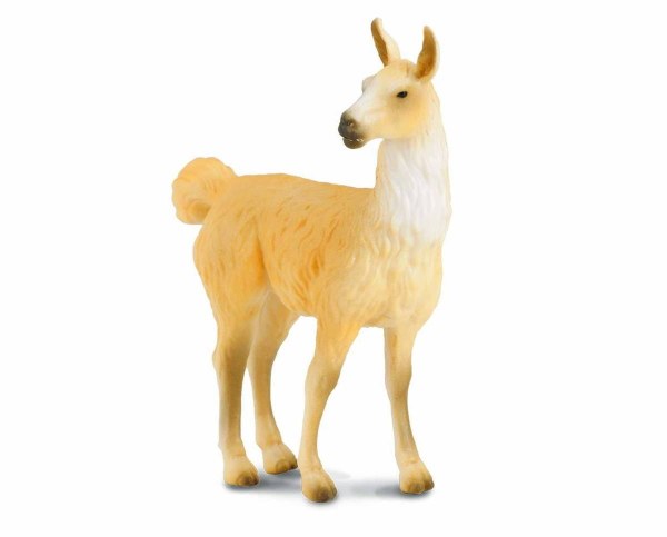 Llama