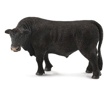 Black Angus Bull