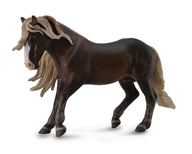 Toy - Bay Ardennes Stallion