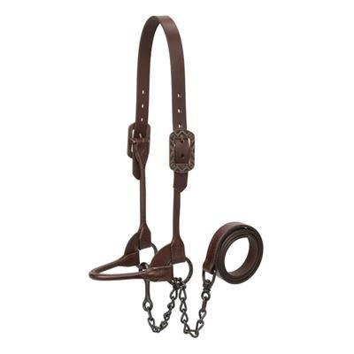 Aztec  Cattle Show Halter