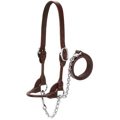 Dairy/Beef Rounded Show Halter: XS