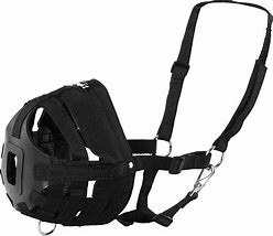 Grazing Muzzle EasyBreathe Pny