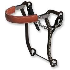 Hackamore