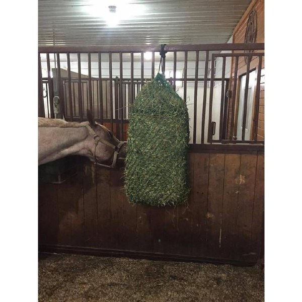 Nag Bag - Day Bag 1"