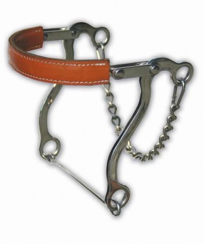 Equisential Hackamore