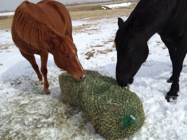 Small Square Bale Bag- 2"