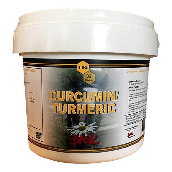 Curcumin/Turmeric 1 LG