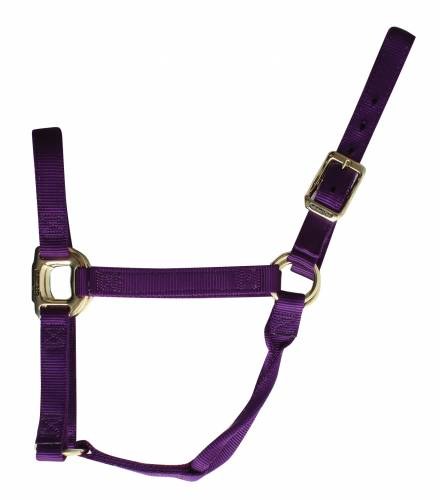 Halter Nylon Average