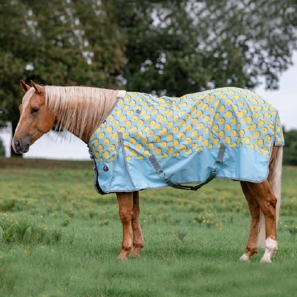 Rubber Ducky Rain Sheet Pony