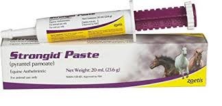 Strongid T Dewormer 600ml