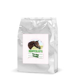 Foal Milk Replacer 5kg