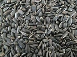 Blackoil Sunflower Seeds