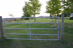 6' Farm Gate