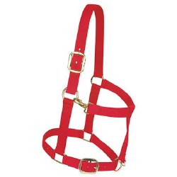 Nylon Draft Halter: Large