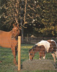 Non- Climb Fence