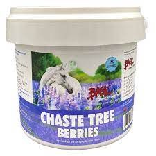 Chaste Tree Berries  4KG