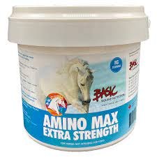 Amino Max Extra Strength 1 KG