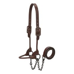 Aztec  Cattle Show Halter