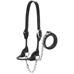 Dairy/Beef Rounded Show Halter: XS