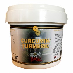 Curcumin/Turmeric 1 LG