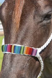 White Braided Halter with 10ft Lead