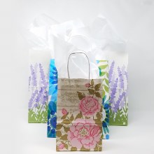 Gift Bag w Tissue Paper