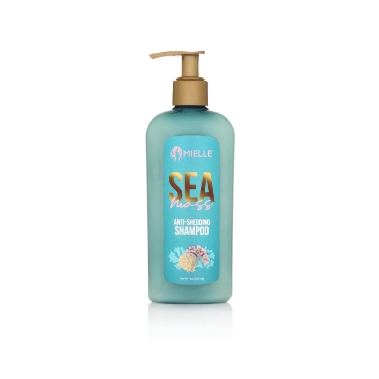 Mielle Organics Sea Moss Anti Shedding Shampoo 8oz