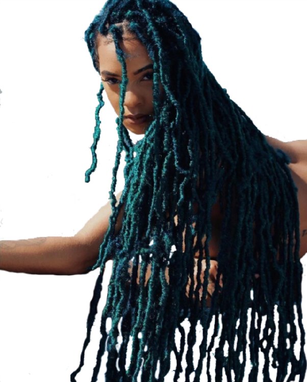 2x Nu Locs 24 Inch - # 2