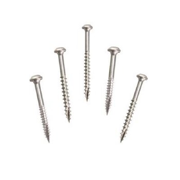 STNLESS PKT HOLE SCREWS 100PC