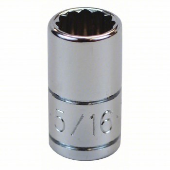 Socket Chrm 1/4Dr St 12PT 5/16