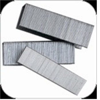 1/2" x 1-3/4" STAPLE 10M/BOX