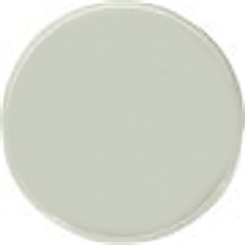 LENS FOR MINI MAGLITE