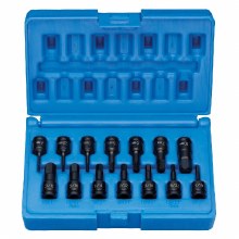 1/4" DRIVE 14PC SAE/MM HEX DRIVE SET