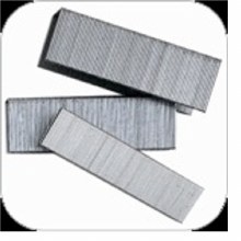 1/2" x 1-1/2" STAPLE 10M/BOX