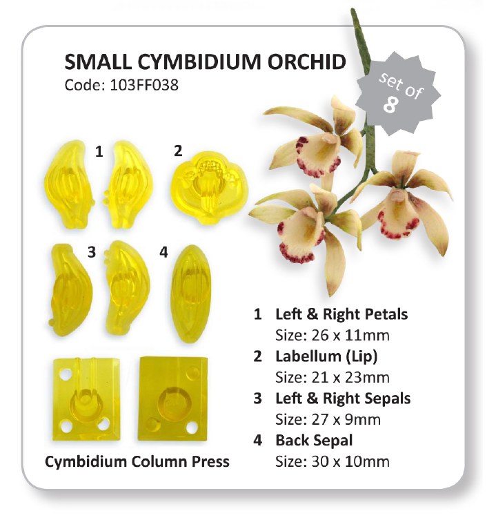 JEM SM Cymbidium Orchid Set 8