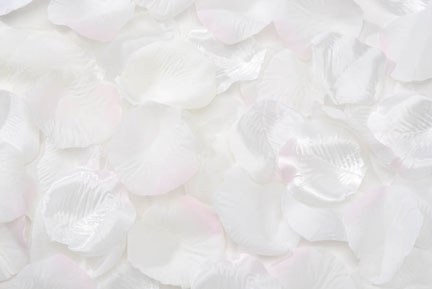 Fake Rose Petals Mixed Cream 100 Count