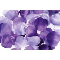 Rose Petals Lavender 300 CT
