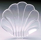 Clear Shell Background