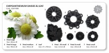 JEM Chrysanthemum Daisies Set 7