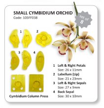 JEM SM Cymbidium Orchid Set 8