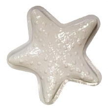Pantastic Pan Star Fish