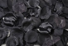 Fake Rose Petals Black 100 Count