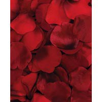 Rose Petals Burgundy 100 CT