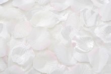 Fake Rose Petals Mixed Cream 100 Count