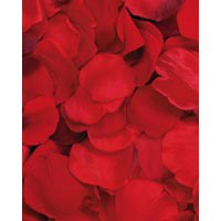 Fake Rose Petals Mixed Reds 100 Count
