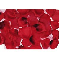 Rose Petals Red 300 CT