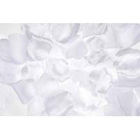 Rose Petals White 300 CT