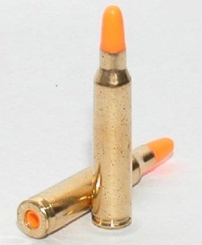 .223 Caliber - Action Trainer