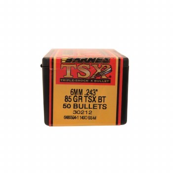 Barnes #30212 6mm 85gr TSX 50/bx